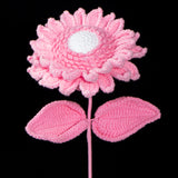 Double Layer Sunflower Crochet Kit | Complete DIY Flower Craft Kit for Beginners