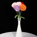 Everlasting Carnation Crochet DIY Kit