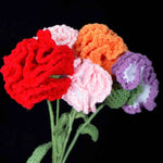 Everlasting Carnation Crochet DIY Kit
