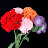 Everlasting Carnation Crochet DIY Kit