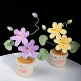 First Flush of Love | DIY Crocheted Tung Flower Pot Kit - Everlasting Blooms