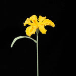Handmade Knit Iris Flower - Symbol of Hope & Wisdom, Perfect Gift