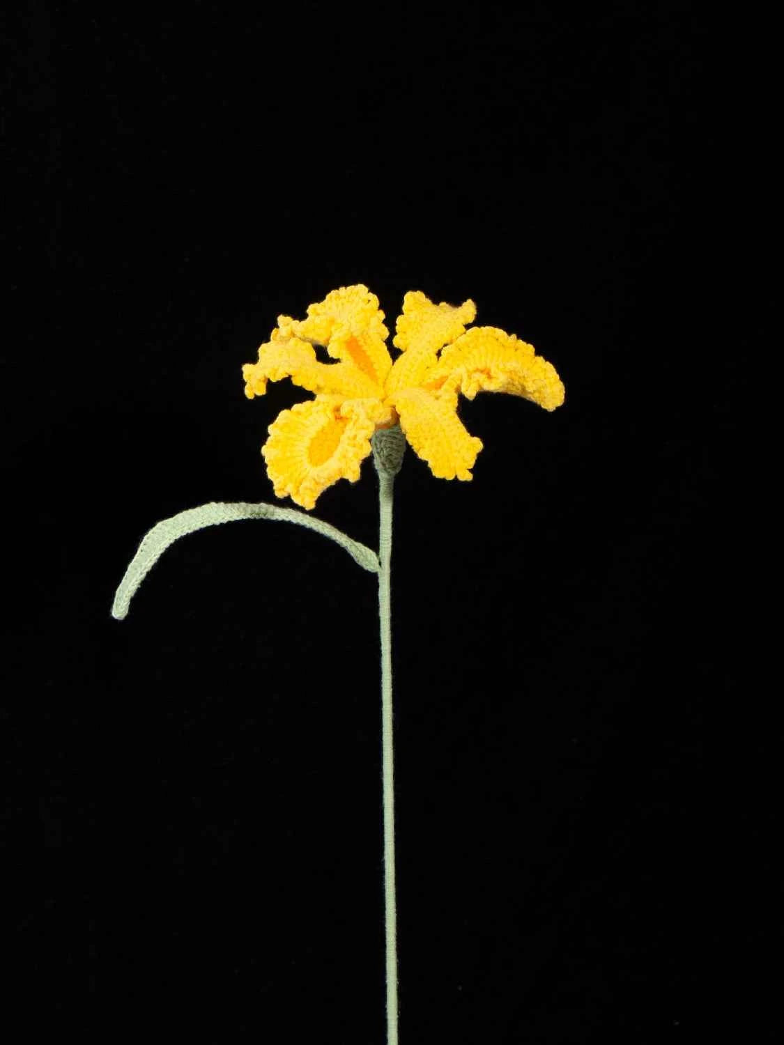 Handmade Knit Iris Flower - Symbol of Hope & Wisdom, Perfect Gift