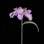 Handmade Knit Iris Flower - Symbol of Hope & Wisdom, Perfect Gift