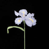 Handmade Knit Iris Flower - Symbol of Hope & Wisdom, Perfect Gift
