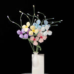 Beginner DIY Crochet Kit – Bride’s Veil Plant