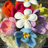 Colorful Crochet Flower Bouquet Kit | Everlasting Tulip & Plumeria Crochet Kit