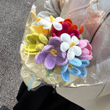 Colorful Crochet Flower Bouquet Kit | Everlasting Tulip & Plumeria Crochet Kit