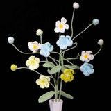 Crochet Androsace Umbellata Flower | Handmade Rock Jasmine Gift