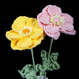 Hand Crochet Anemone Bouquet - Colorful Knitted Flower Arrangement