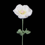 Hand Crochet Anemone Bouquet - Colorful Knitted Flower Arrangement