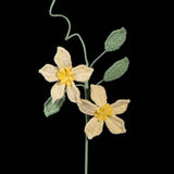 Handmade Crochet Clematis Flower Bouquet