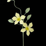 Handmade Crochet Clematis Flower Bouquet