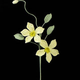 Handmade Crochet Clematis Flower Bouquet