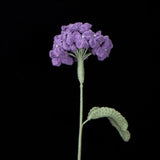 Handmade Crochet Hydrangea Stem | Forever Bloom, Never Wilt!