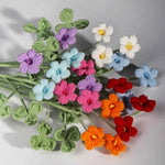 Crochet Oxalis Flower-Handmade Everlasting Flower