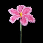 Crochet White Edge Tulip Kit – Single Flower DIY Set