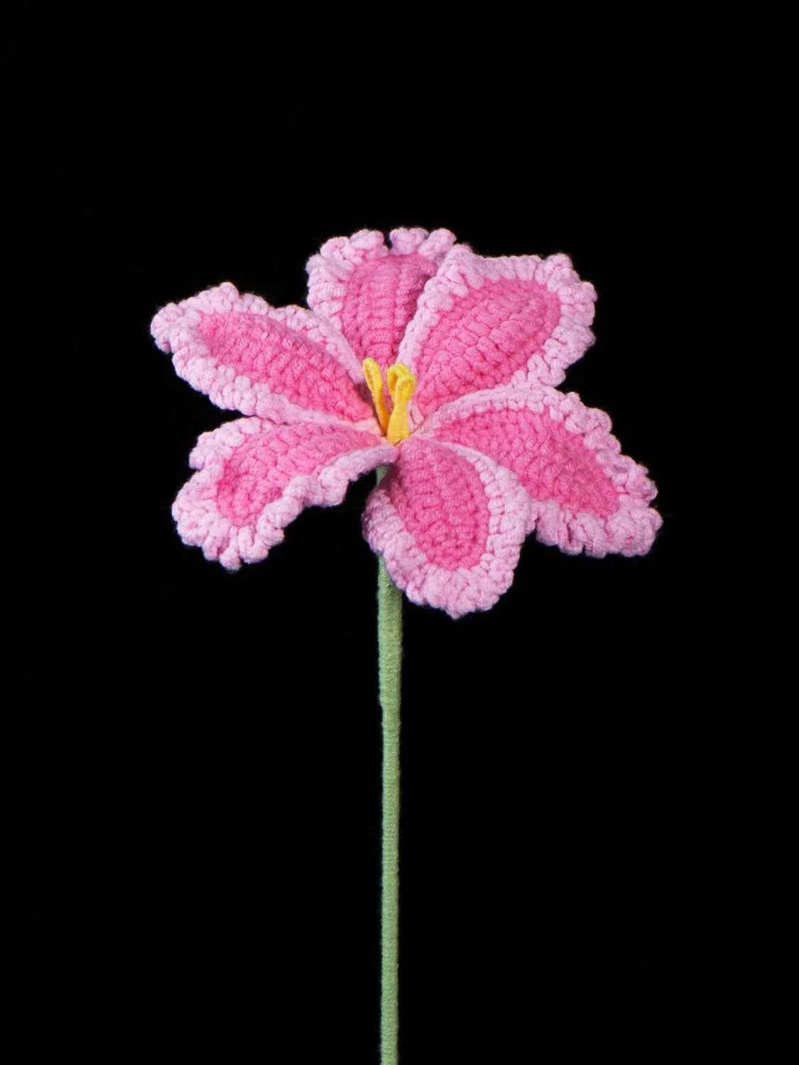 Crochet White Edge Tulip Kit – Single Flower DIY Set