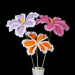 Crochet White Edge Tulip Kit – Single Flower DIY Set