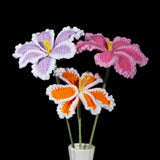 Crochet White Edge Tulip Kit – Single Flower DIY Set