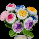 Crochet Rose Bouquet Kit - Complete DIY Craft Set with All Materials