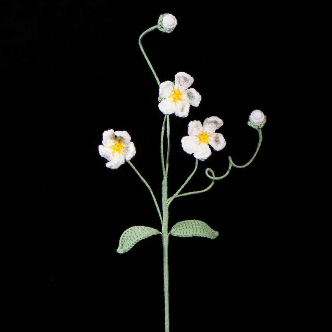Crochet Androsace Umbellata Flower | Handmade Rock Jasmine Gift