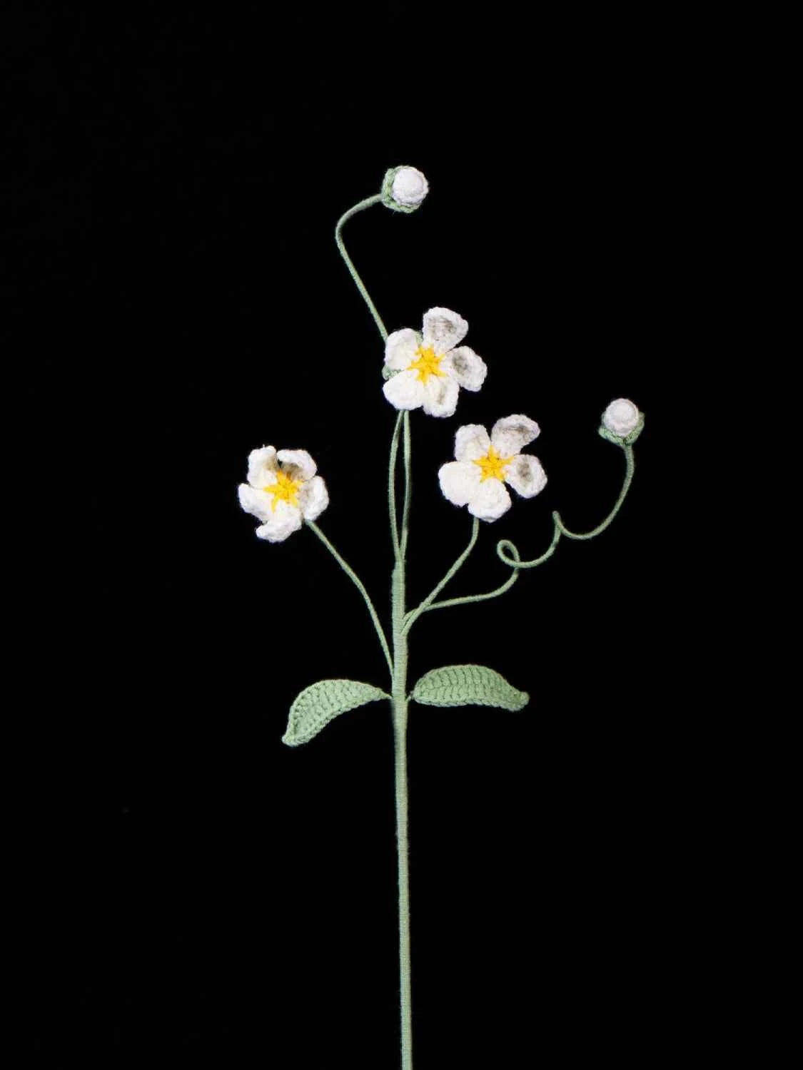 Crochet Androsace Umbellata Flower | Handmade Rock Jasmine Gift
