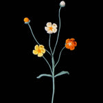 Crochet Androsace Umbellata Flower | Handmade Rock Jasmine Gift