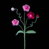 Crochet Androsace Umbellata Flower | Handmade Rock Jasmine Gift