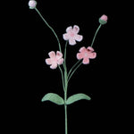 Crochet Androsace Umbellata Flower | Handmade Rock Jasmine Gift
