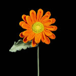 Crochet Gerbera Daisy | Everlasting Yarn Flower