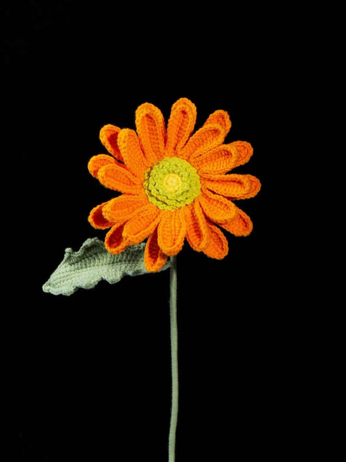 Crochet Gerbera Daisy | Everlasting Yarn Flower