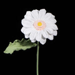 Crochet Gerbera Daisy | Everlasting Yarn Flower
