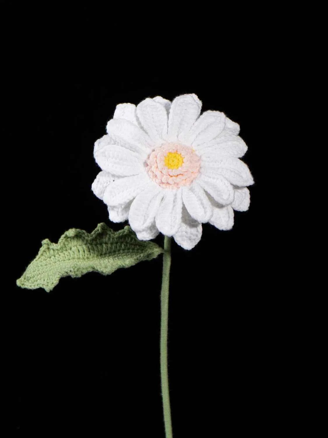 Crochet Gerbera Daisy | Everlasting Yarn Flower