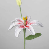 Crochet Lily (with bud) | Handmade Lilium Casa Blanca