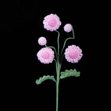 Crochet Multi-Head Daisy – Everlasting Mini Daisy