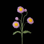 Crochet Multi-Head Daisy – Everlasting Mini Daisy