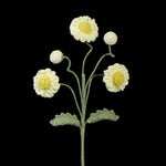 Crochet Multi-Head Daisy – Everlasting Mini Daisy