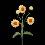 Crochet Multi-Head Daisy – Everlasting Mini Daisy