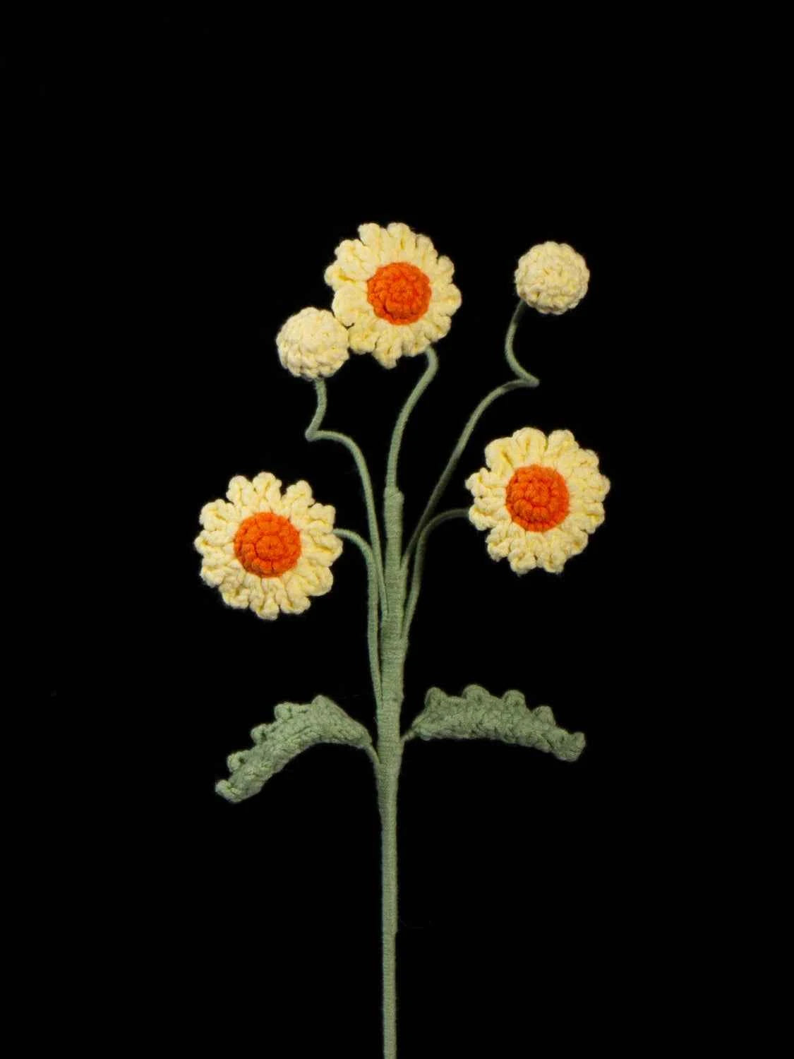 Crochet Multi-Head Daisy – Everlasting Mini Daisy