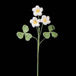 Crochet Oxalis Flower-Handmade Everlasting Flower