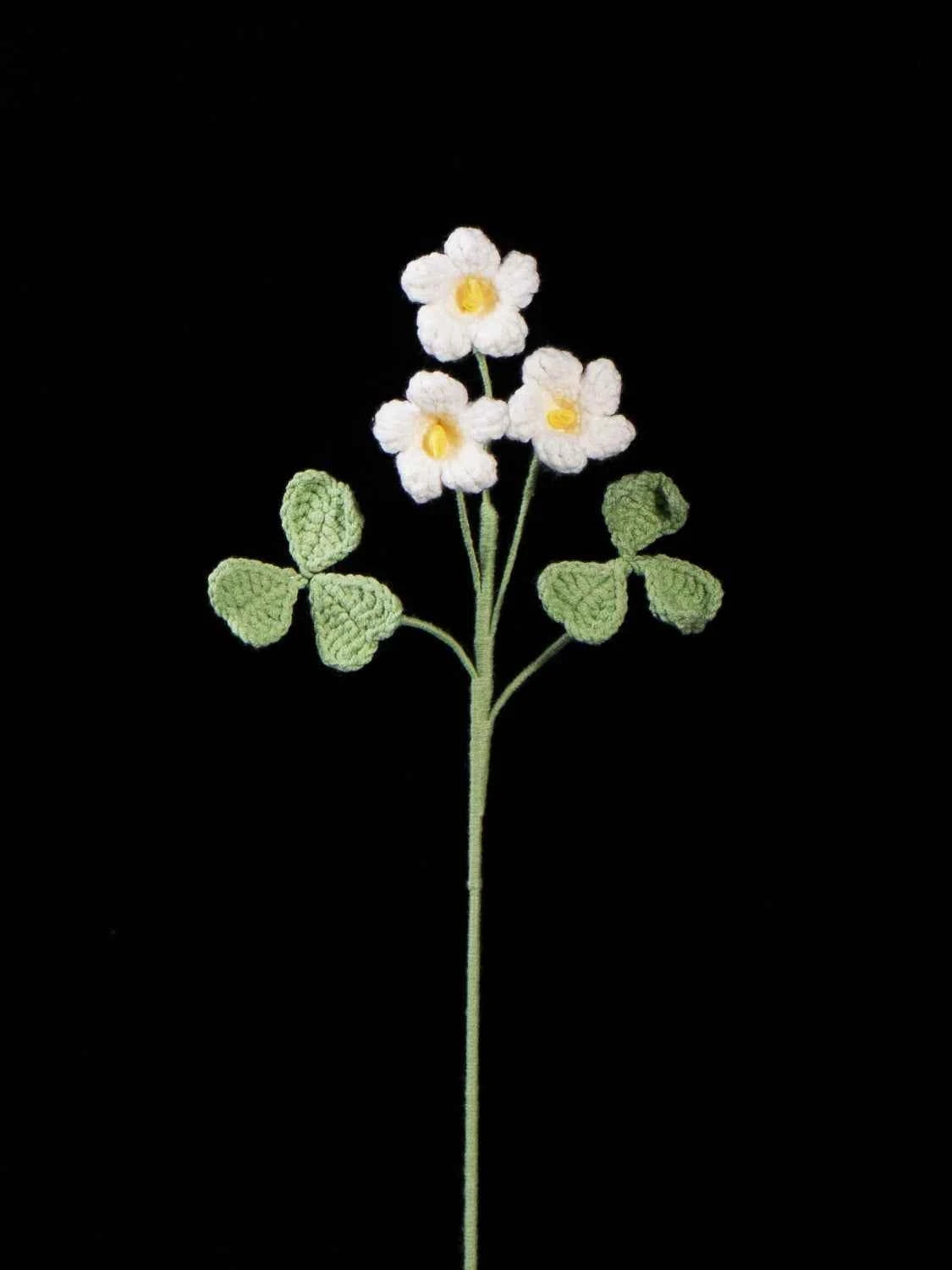 Crochet Oxalis Flower-Handmade Everlasting Flower