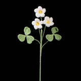 Crochet Oxalis Flower-Handmade Everlasting Flower