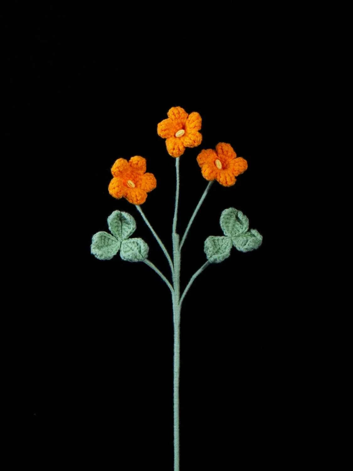 Crochet Oxalis Flower-Handmade Everlasting Flower