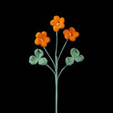 Crochet Oxalis Flower-Handmade Everlasting Flower