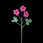 Crochet Oxalis Flower-Handmade Everlasting Flower