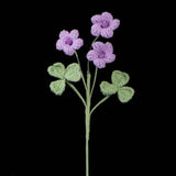 Crochet Oxalis Flower-Handmade Everlasting Flower