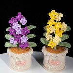 Handmade Crochet Forget-Me-Not Potted Plant | Forever Flower Gift