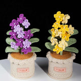 Handmade Crochet Forget-Me-Not Potted Plant | Forever Flower Gift