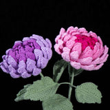 DIY Crochet Dahlia Flower Kit - Handmade Everlasting Blooms